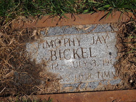 BICKEL, TIMOTHY JAY - Polk County, Iowa | TIMOTHY JAY BICKEL 