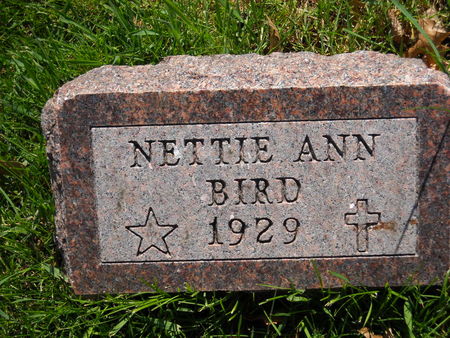 BIRD, NETTIE ANN - Polk County, Iowa | NETTIE ANN BIRD 