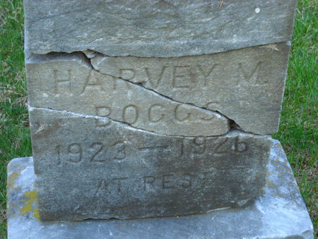 BOGGS, HARVEY M. - Polk County, Iowa | HARVEY M. BOGGS 