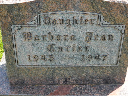 CARTER, BARBARA JEAN - Polk County, Iowa | BARBARA JEAN CARTER 