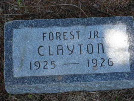 CLAYTON, FOREST JR. - Polk County, Iowa | FOREST JR. CLAYTON 