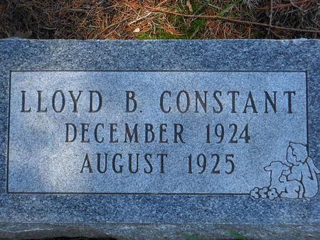 CONSTANT, LLOYD B. - Polk County, Iowa | LLOYD B. CONSTANT 