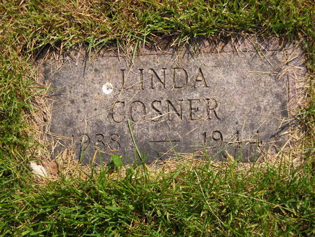 COSNER, LINDA - Polk County, Iowa | LINDA COSNER 