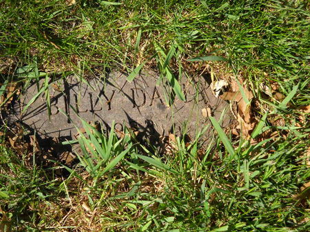 DAVIS, BILLY - Polk County, Iowa | BILLY DAVIS 