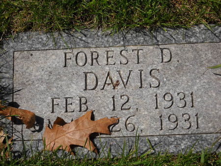 DAVIS, FOREST D. - Polk County, Iowa | FOREST D. DAVIS 