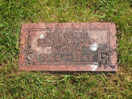 DAVIS, SHARON KAY - Polk County, Iowa | SHARON KAY DAVIS 