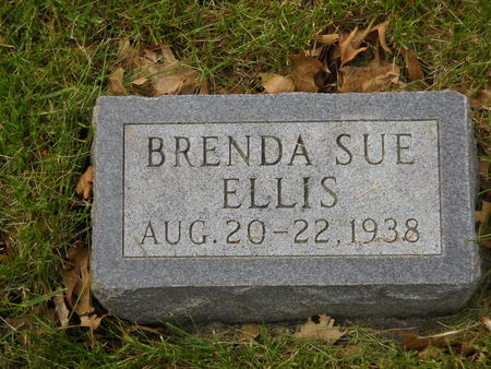 ELLIS, BRENDA SUE - Polk County, Iowa | BRENDA SUE ELLIS 