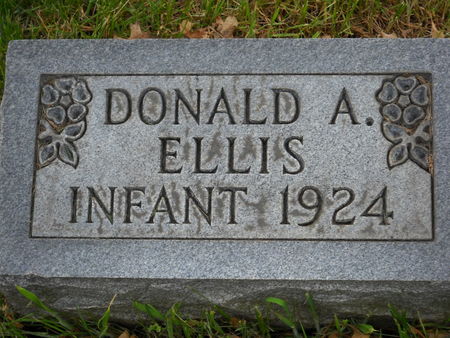ELLIS, DONALD A. - Polk County, Iowa | DONALD A. ELLIS 