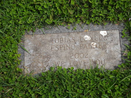 ESPINO PALMER, TOBIAS LOWELL - Polk County, Iowa | TOBIAS LOWELL ESPINO PALMER 