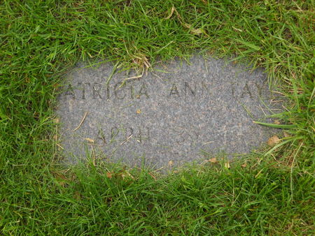 FAY, PARTICIA ANN - Polk County, Iowa | PARTICIA ANN FAY 