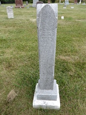 FEES, GRANT - Polk County, Iowa | GRANT FEES 