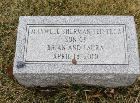 FEINTECH, MAXWELL SHERMAN - Polk County, Iowa | MAXWELL SHERMAN FEINTECH 