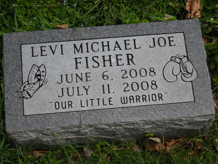 FISHER, LEVI MICHAEL JOE - Polk County, Iowa | LEVI MICHAEL JOE FISHER 