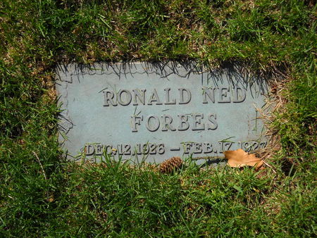 FORBES, RONALD NED - Polk County, Iowa | RONALD NED FORBES 