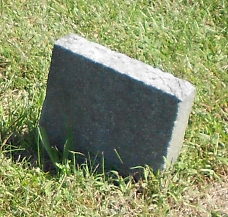 FORRESTER, JOHN YOUNG - Polk County, Iowa | JOHN YOUNG FORRESTER 