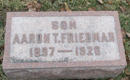 FRIEDMAN, AARON T. - Polk County, Iowa | AARON T. FRIEDMAN 
