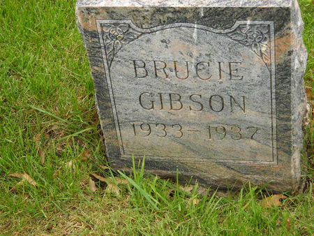 GIBSON, BRUCIE - Polk County, Iowa | BRUCIE GIBSON 