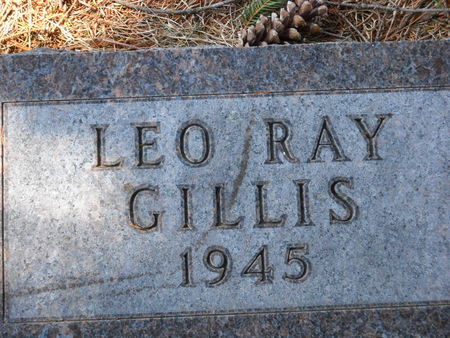 GILLIS, LEO RAY - Polk County, Iowa | LEO RAY GILLIS 