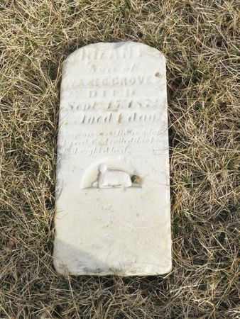 GROVE, INFANT - Polk County, Iowa | INFANT GROVE 