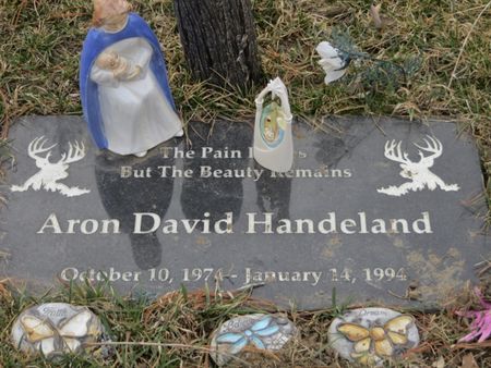 HANDELAND, ARON DAVID - Polk County, Iowa | ARON DAVID HANDELAND 