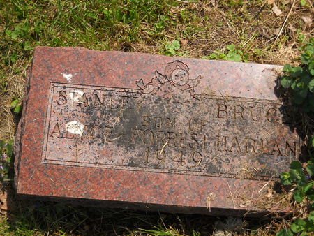 HARLAN, STANLEY BRUCE - Polk County, Iowa | STANLEY BRUCE HARLAN 