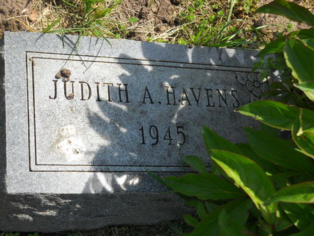 HAVENS, JUDITH A. - Polk County, Iowa | JUDITH A. HAVENS 