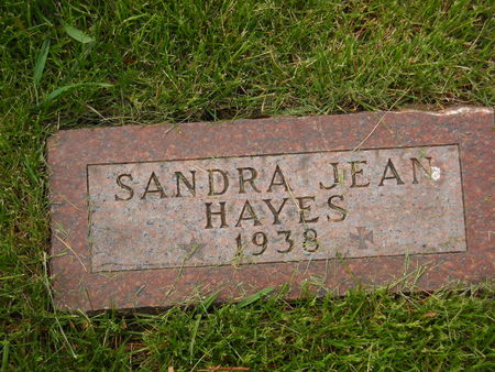 HAYES, SANDRA JEAN - Polk County, Iowa | SANDRA JEAN HAYES 