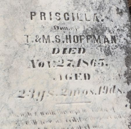 HOFFMAN, PRISCILLA - Polk County, Iowa | PRISCILLA HOFFMAN 