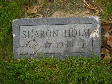 HOLM, SHARON - Polk County, Iowa | SHARON HOLM 