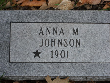 JOHNSON, ANNA M. - Polk County, Iowa | ANNA M. JOHNSON 