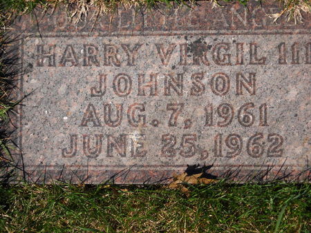 JOHNSON, HARRY VERGIL III - Polk County, Iowa | HARRY VERGIL III JOHNSON 