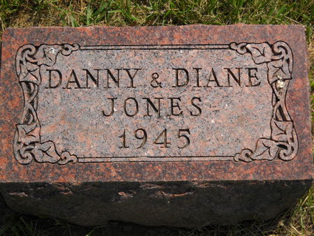 JONES, DIANE - Polk County, Iowa | DIANE JONES 