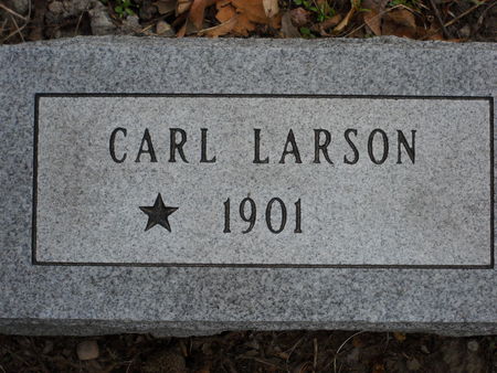LARSON, CARL - Polk County, Iowa | CARL LARSON 