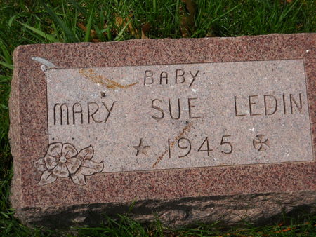 LEDIN, MARY SUE - Polk County, Iowa | MARY SUE LEDIN 