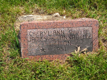 LEMON, CHERYL ANN - Polk County, Iowa | CHERYL ANN LEMON 