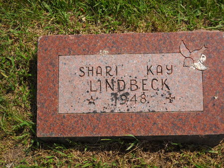 LINDBECK, SHARI KAY - Polk County, Iowa | SHARI KAY LINDBECK 