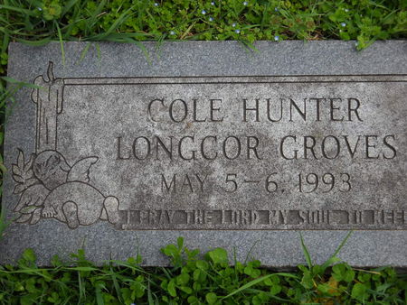 LONGCOR GROVES, COLE HUNTER - Polk County, Iowa | COLE HUNTER LONGCOR GROVES 