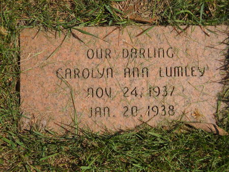 LUMLEY, CAROLYN ANN - Polk County, Iowa | CAROLYN ANN LUMLEY 