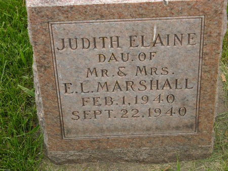 MARSHALL, JUDITH ELAINE - Polk County, Iowa | JUDITH ELAINE MARSHALL 