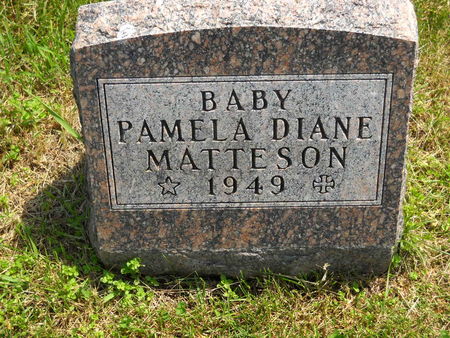 MATTESON, PAMELA DIANE - Polk County, Iowa | PAMELA DIANE MATTESON 