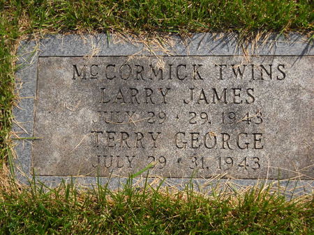 MCCORMICK, LARRY JAMES - Polk County, Iowa | LARRY JAMES MCCORMICK 