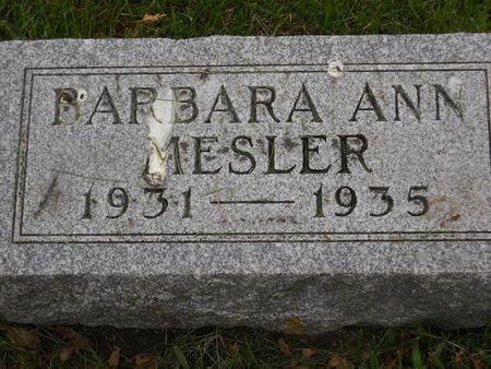 MESLER, BARBARA ANN - Polk County, Iowa | BARBARA ANN MESLER 