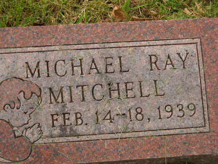 MITCHELL, MICHAEL RAY - Polk County, Iowa | MICHAEL RAY MITCHELL 