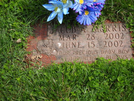 MORRIS, JACOB A. - Polk County, Iowa | JACOB A. MORRIS 