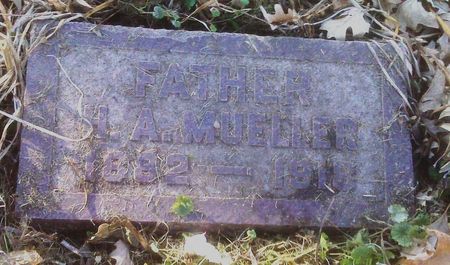MUELLER, HERMAN A. - Polk County, Iowa | HERMAN A. MUELLER 