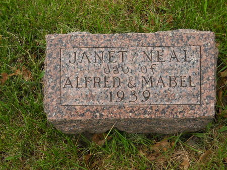 NEAL, JANET - Polk County, Iowa | JANET NEAL 