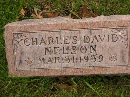 NELSON, CHARLES DAVID - Polk County, Iowa | CHARLES DAVID NELSON 