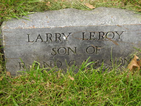 NELSON, LARRY LEROY - Polk County, Iowa | LARRY LEROY NELSON 