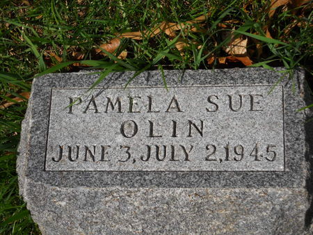 OLIN, PAMELA SUE - Polk County, Iowa | PAMELA SUE OLIN 
