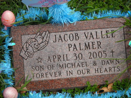 PALMER, JACOB VALLEE - Polk County, Iowa | JACOB VALLEE PALMER 